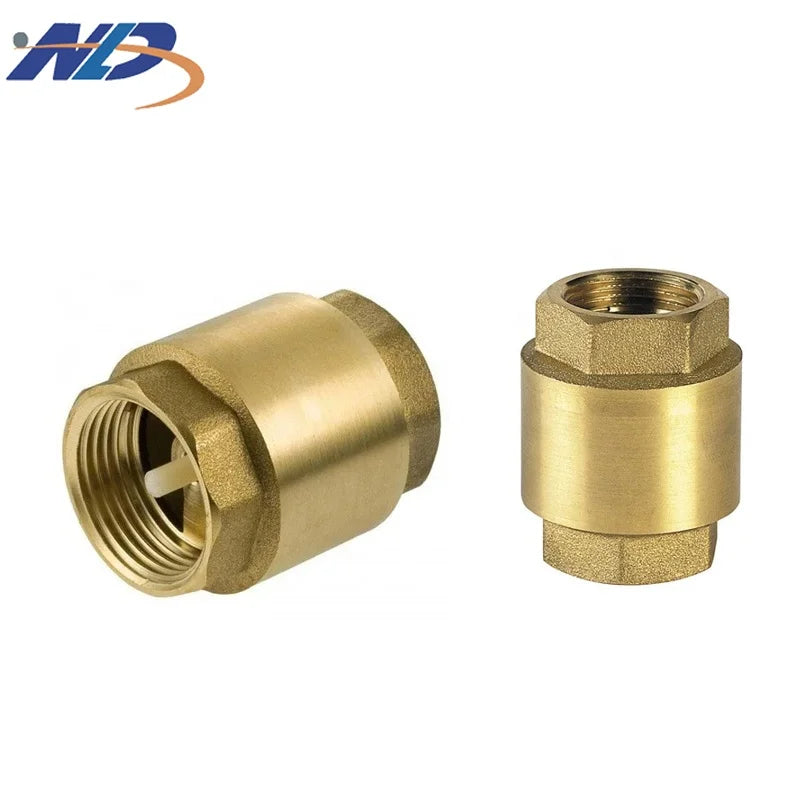 NLD Casting Technique Supported Female Thread Spring Loaded Vertical Lift Type 3/4 Inch Non Return Check Valve