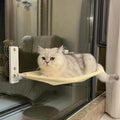 cat Window Hammock Bed