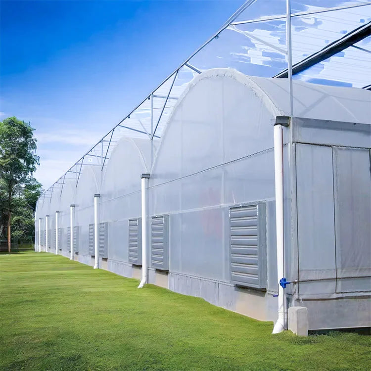 Agriculture Greenhouse Tomato and Strawberry Multi-Span Dedicated PE Greenhouse Plastic Film Greenhouse