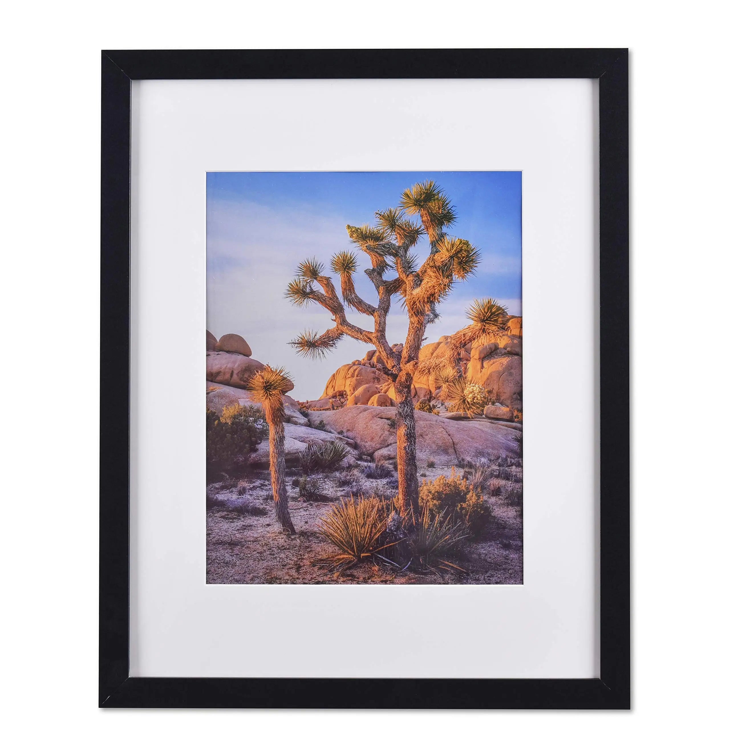 Wood Iron Customized Logo Picture Frames 16x20 Inches for Wall Poster Frame with Plexiglass for Hanging Display