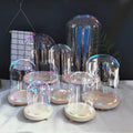 Christmas Wedding Preserved Cloche Flower Rose Glass Dome Wood Base With Led Lights