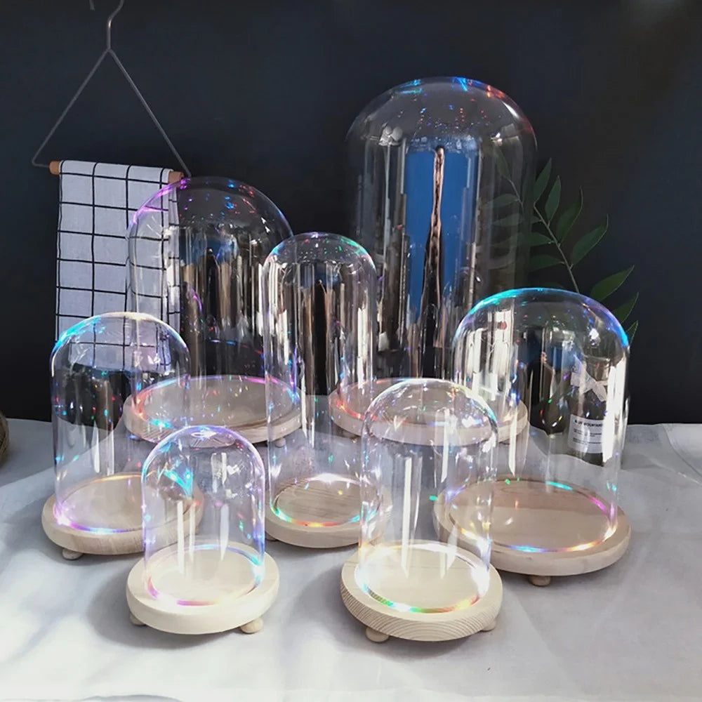 Christmas Wedding Preserved Cloche Flower Rose Glass Dome Wood Base With Led Lights