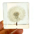 Factory Custom Square Resin Crafts Crystal Transparent Real Dandelion Flower Statue Business Gifts Sculpture Elegant Paperweight