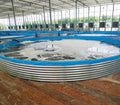 Galvanizing Process Sheet Round Aquaculture Fish Pond