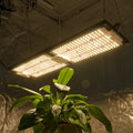 Kingbrite 240W Samsung LED Grow Light LM301H UV IR QB288 Boards 660 Light Kit for Veg and Bloom