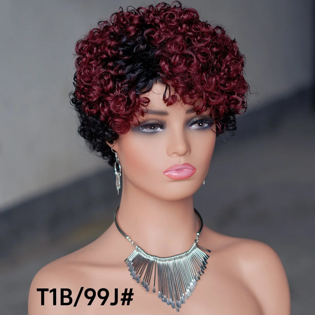 Virgin Hair Super Curly Wig Short Bob Human Hair Wigs Lace Front Short Curly Human Hair Wig for Black Women