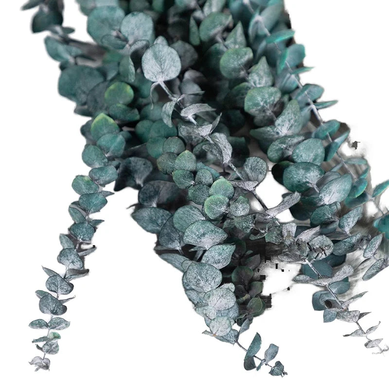 Handmade Natural Dried Eucalyptus Leaf and Copper Stem Decorative Home Foliage Available Wholesale