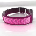 LED Flashing Nylon Dog Collar Blue Tooth Programmable Display Smart Led Message App Remote Control Led Flashing Dog Collar