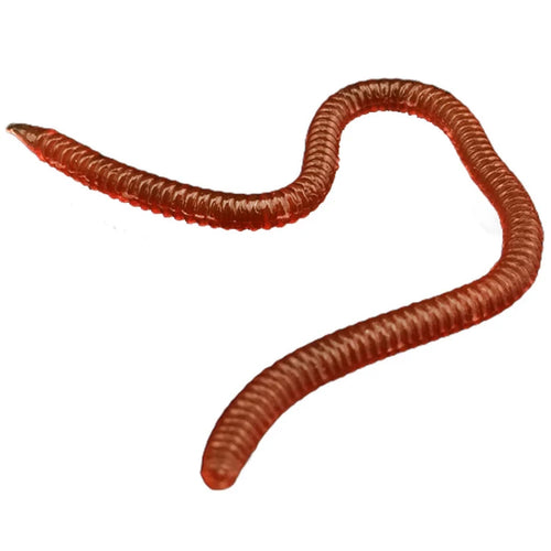 0.4g 10cm Fishing Lures Lifelike Fishy Smell Red Soft Lures Simulation Earthworm Luminous Worms Artificial Fishing Lure Soft Plastics Fishing