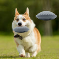 Interactive Dog Toys Training Tools and Pet Chew Toys for Engaging Play Enhance Pet Training Dog  Flying Disc Chew Toys