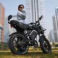 E-bike 20*4 Inch X80 Ultra Fatbike Eu Stock Electr Bike Price Full Suspension Electric Mountain Bike X80 Electric Bicycle Ebike