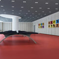Modern Adhesive Anti-Slip Indoor Table Tennis Court Sports Floor with 3D Model Design / PVC Vinyl Flooring Mats
