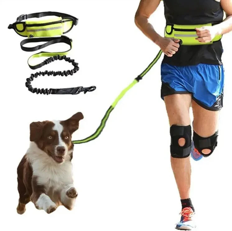 2025 New Product Hot Sale Reflective Bungee Leash Hands Free Dog Leash Dog Running Leash Belt Bag for Walking Jogging With Pouch