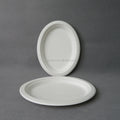 Eco-Friendly Waterproof Biodegradable Disposable Sugarcane Pulp Oval Takeaway Plate Sustainable Dishes & Plates