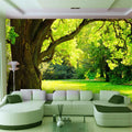 Living room forest sunset wallpaper bedroom sky mountain mural