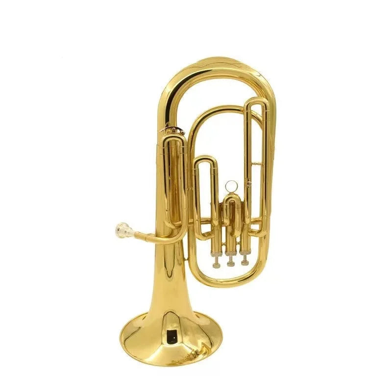Professional Level Tenor Horn Bb  Musical Instrument