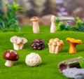 Miniature Resin Cute Cartoon Shiitake Enoki king oyster oyster Mushrooms Morels White Fungus Black Fungus fairy Garden Ornaments