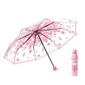Women Girls Fashion Custom Transparent Umbrella Japanese Style Flower Design Opening Control. for Business Gifts. Wholesale.