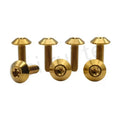 China Professional Price Titanium Umbrella Head Bolts M6 X 12 15 20mm Gr5 Titanium Bolt Torx Drive Screw for Bicycle Lightweight
