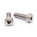 M2 M3 M4 M5 M6 Metric Anti-Theft Pan Cylinder Head Security Screw Stainless Steel Zinc Plated Triangular Slot Socket ISO9001