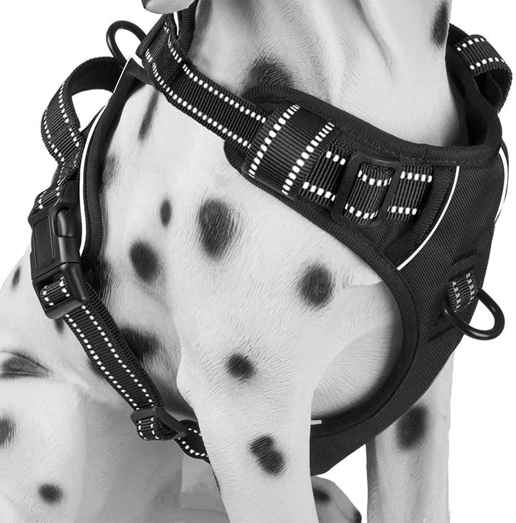 Breathable Soft Mesh Padded Luxury Adjustable Reversible No Pull Custom Reflective Free Sample Nylon Pet Dog Harness Leash Set
