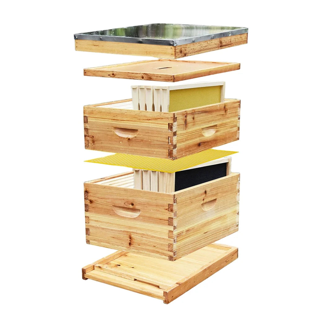 Wholesale Hive Tool Langstroth Wooden Bee Hives Beehive Kit