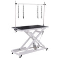 Electing Lifting Pet Dog Grooming Table With Arm