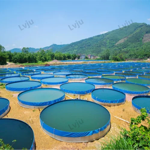 Lvju One Stop Service Pond Aerator Aquaculture Products for Shrimp Fish Tank Aquaculture Iraq Hot Sale Carp Fish Tank