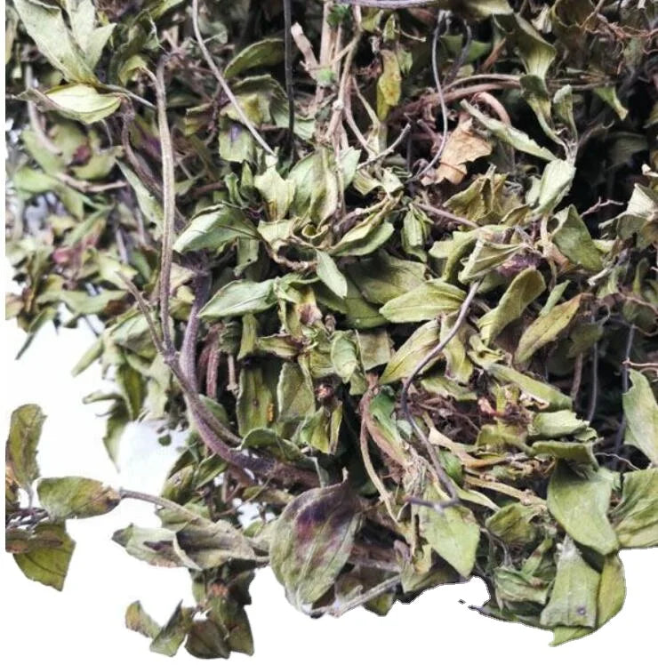 Di Nie Dried Twelve Stamen Melastoma Herb Melastoma Dodecandrum Whole Plants Dried for Sale