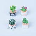 Dollhouse Mini Flower Pot Cactus Micro Landscape Ecological Bottle Diy Ornaments