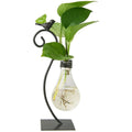 Creative Glass Hydroponic Vase Flower Pot with Light Bulb Plant Stand and Rack for Home Hydroponic Green/Flower Plants