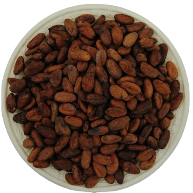 BULK Wholesale Price High Grade Dried Cacao Beans Seed Natural Raw Cacao Tree Seeds NON-GMO Whole China Origin for Food