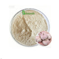 Wholesale Price High Quality Bulk Green Healthy Food Additive Pure Natural Garlic Extract