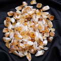 Wholesale Small Rough Citrine Quartz Gemstone Tooth Cluster Natural Crystal Crafts