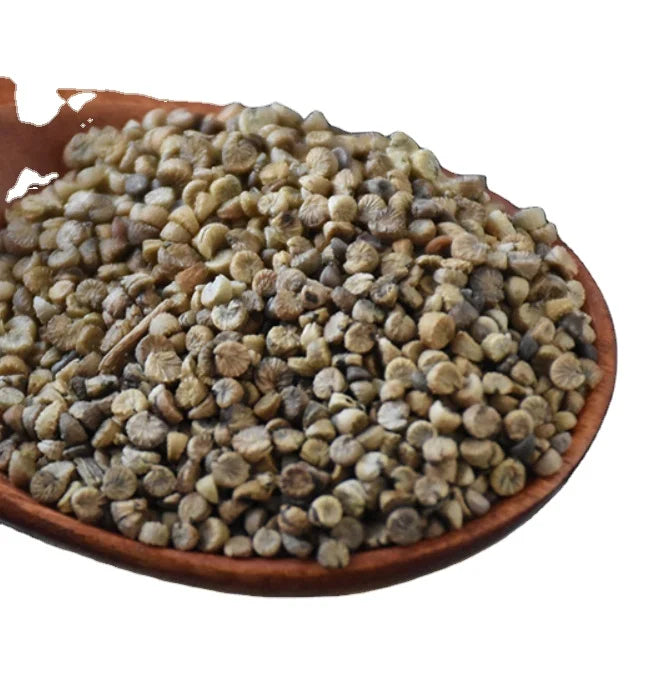 Dong Kui Zi Natural Bulk Supply Dried Raw Seeds Fruits of Malva Verticillata for Tea and Herb