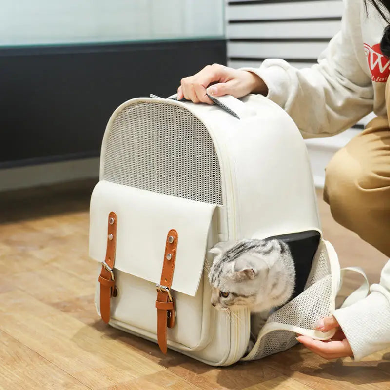 Customized Oxford Cloth Pet Travel Backpack 2025 Hot Sell Shoulder Portable Carrier Bag for Small Dogs Cats Wholesale OEM