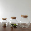 Mini Landscape Container Glass Terrarium with Wooden Cork and Led Light for Home Decor Mini Nature Moss Spheroidal Tabletop Vase