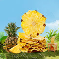 2024 New Crop Air Dried Pineapple Slices Sweet Sour Dry Fruit Flavor Raw Beauty Slimming Top Grade Tea Gift Packaging