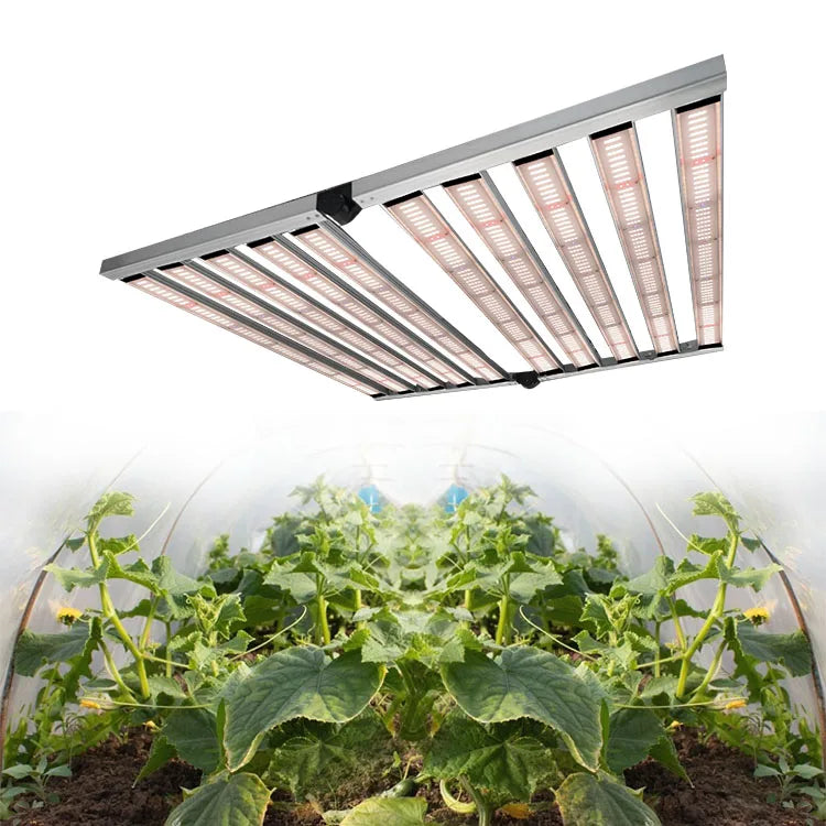 Meijiu Hot Selling 1000W 1200W 1400W Samsun Lm301h Lm301b Indoor Led Plant Light Full Spectrum Led Grow Light