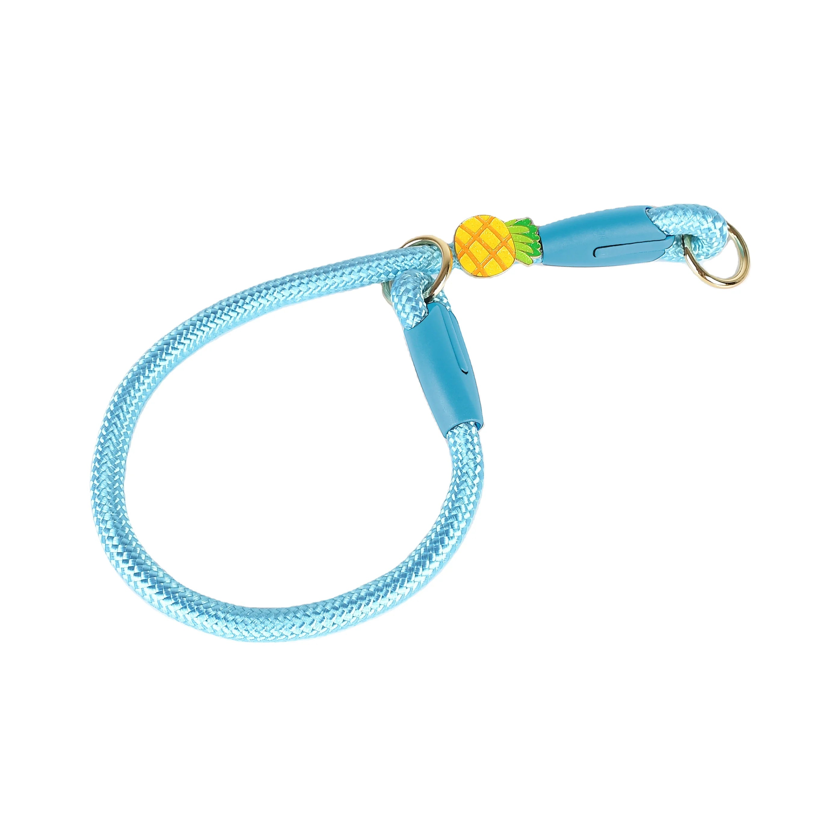 Luxury Anti-Burst Adjustable Nylon Pet Dog Collar with Durable Leash Elegant Style