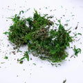 O-X553 Wholesale Pack Fake Grsss Moss Artificial Garden Home Decoration Artificial Moss Grass for Bonsai Decor