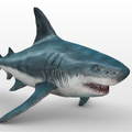 Shark Inflatable Animals Fish for Event Decoration Advertising Customized Inflatable Cartoon Big Shark Inflatable Statue MegaBDM