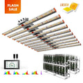 Ce Certification Led Grow Light 1000W Led Full Spectrum Sundro Grow Light Lm301 Led Tape Grow Supplier in China