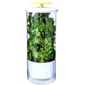 JIUYI Fresh-Keeping Vegetable and Herb Device Coriander Preservation Box for Refrigerator Storage Food Storage & Container