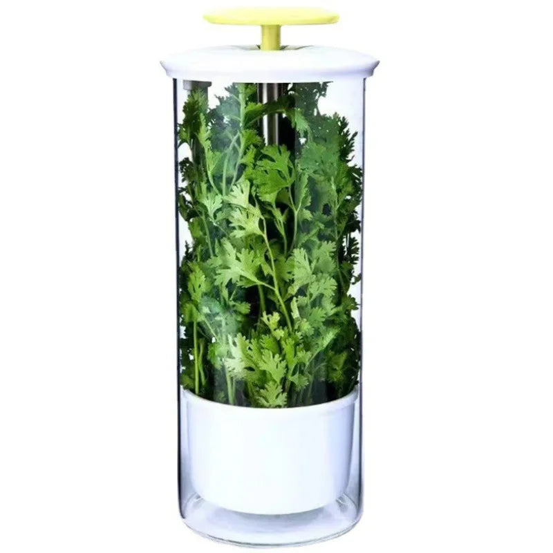 JIUYI Fresh-Keeping Vegetable and Herb Device Coriander Preservation Box for Refrigerator Storage Food Storage & Container