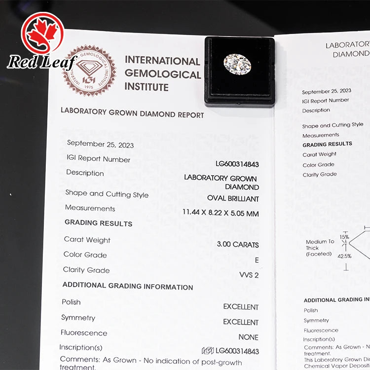 Redleaf Hot Selling  IGI Certified Lab Grown DEF HPHT VVS CVD Diamond 3CT Oval Cut Test Pen Passed Loose Diamonds