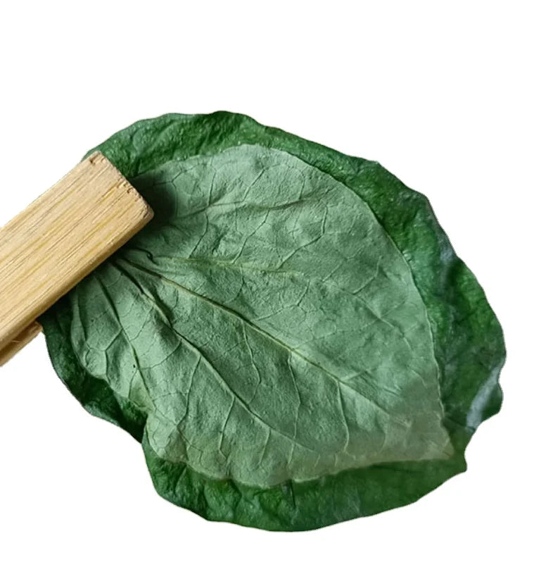 Wild Pepper Leaf Dried Green Whole Raw Piper Sarmentosum Leaves for Spice