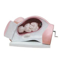 School Teaching Nursing Medical Child Birth Model of Course of Delivery