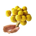 20pcs Per Bundle Handmade Natural Yellow Dried Golden Ball Bouquet Dry Flowers for Home Decor Shop Decoration Valentine's Day