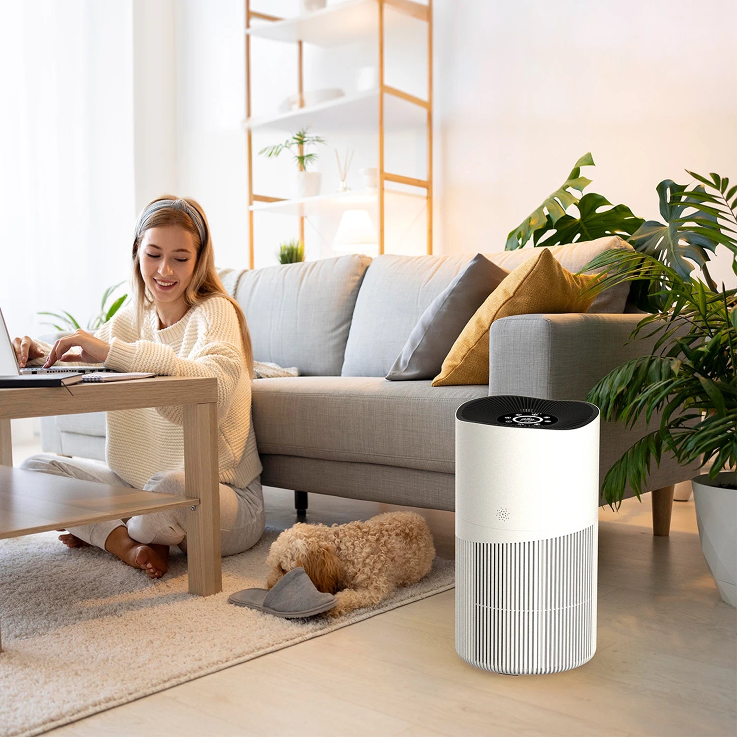 Pet Smart Household air Purifier Best Room Home Pet Smart Portable Hepa  air Purifier Hepa Filter Home Filters